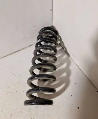 Rear coil spring