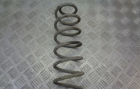 Seat Toledo II (1M) Rear coil spring
