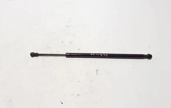 Tailgate strut