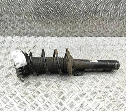 Skoda Enyaq iV Front shock absorber/damper 1EA413031Q