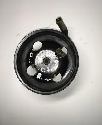 Suzuki Grand Vitara II Power steering pump 4910067J00 61303177