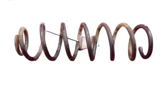 Rear coil spring