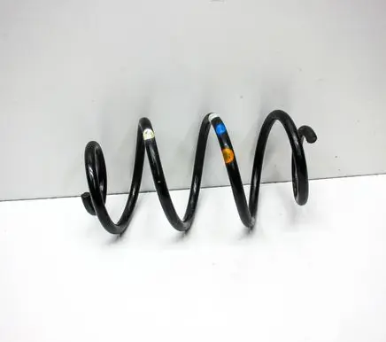 Rear coil spring