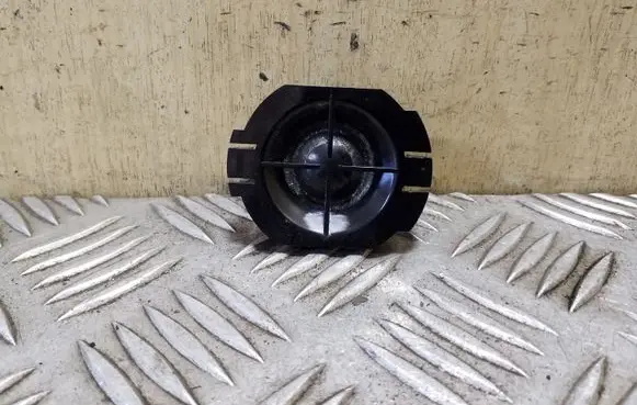 Front door high frequency speaker