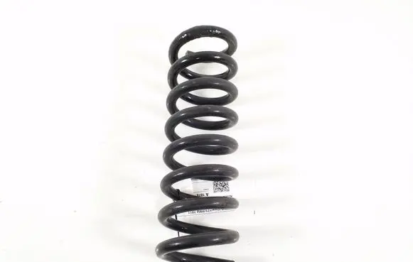 Mercedes-Benz SLK R171 Rear coil spring A2023242504