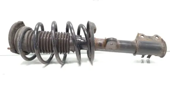 Fiat Doblo Front shock absorber with coil spring 51880843