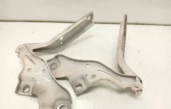 Engine bonnet/hood hinges