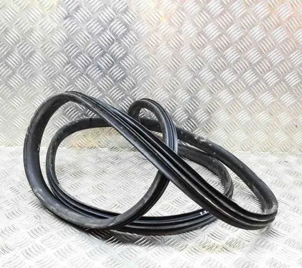 Renault Zoe Rubber seal front coupe door 