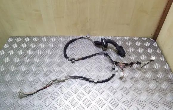 Rear door wiring loom