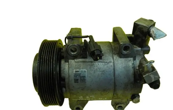 Nissan Pathfinder R51 Air conditioning (A/C) compressor (pump) 926004X30A