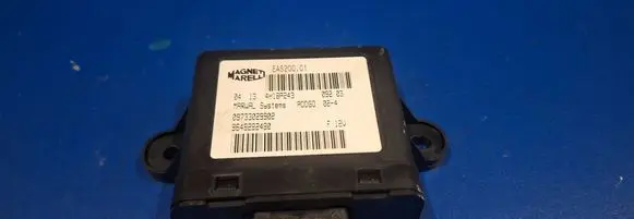 Peugeot 307 Fuel injection pump control unit/module 09733029902
