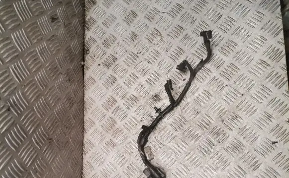 Ford Focus Fuel injector wires 