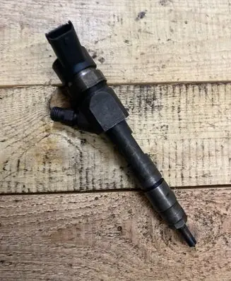 Renault Laguna II Fuel injector 0445110230