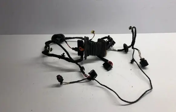Volkswagen PASSAT B7 Front door wiring loom 3C0971615