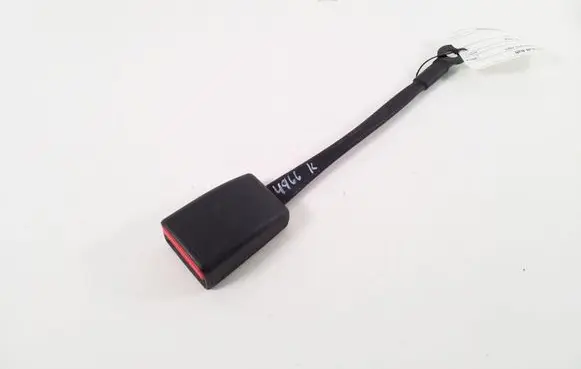 Ligier JS 60 Front seatbelt buckle