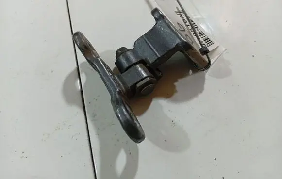 Rear door lower hinge