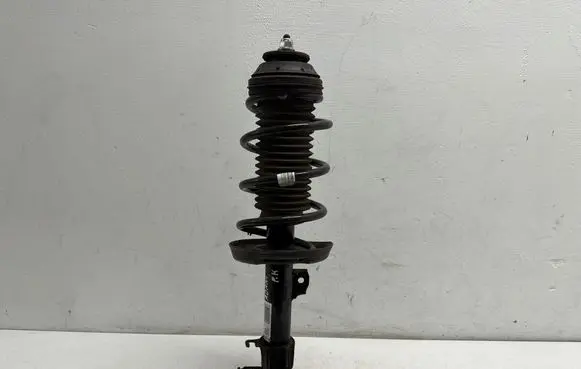 Opel Adam Front shock absorber with coil spring 22277289