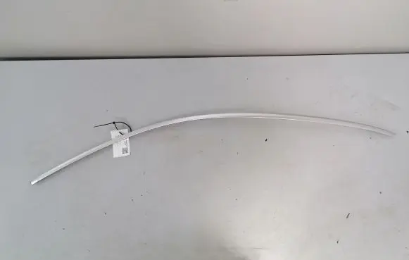 BMW X6 E71 Front door glass trim molding 1234567