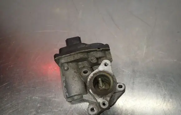 Nissan Juke I F15 EGR valve 147104647R