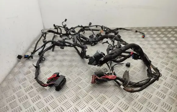 Renault Scenic IV - Grand scenic IV Engine installation wiring loom 240112515S 242960152R