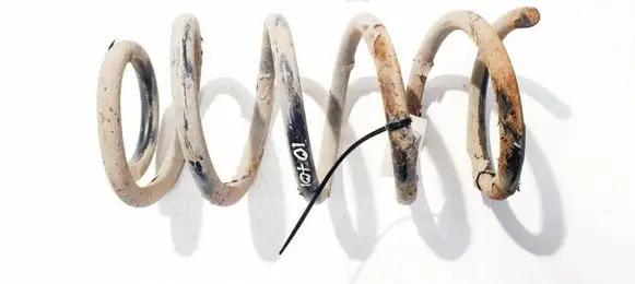 Rear coil spring
