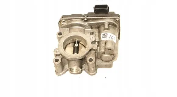 Throttle body valve