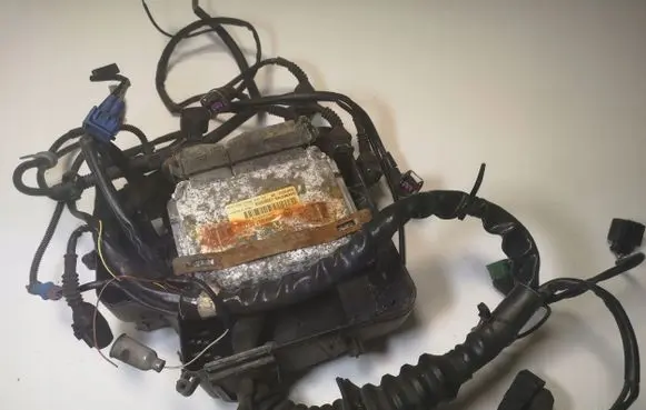 Volkswagen PASSAT B5 Engine control unit/module