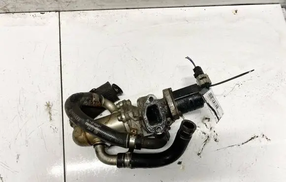Fiat Idea EGR valve cooler