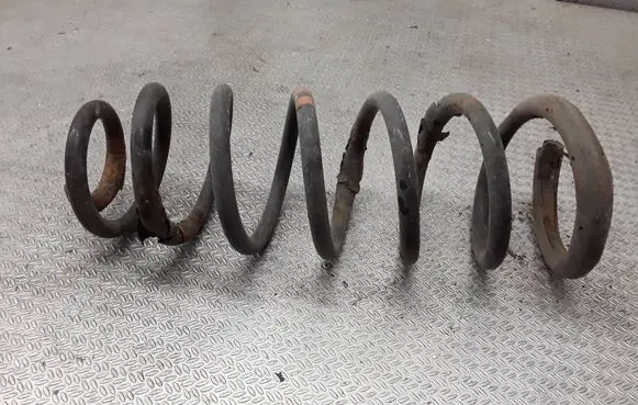 Citroen Jumpy Rear coil spring 
