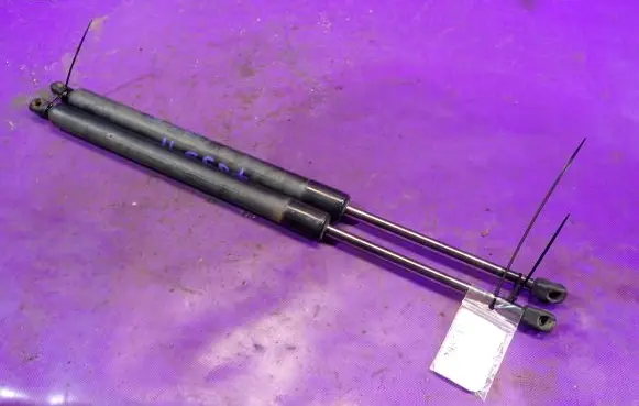 Tailgate strut