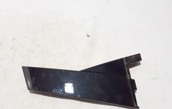 Renault Arkana Rear door trim (molding) 822343033R
