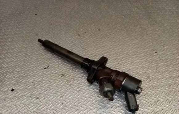 Peugeot 807 Fuel injector 0445110036