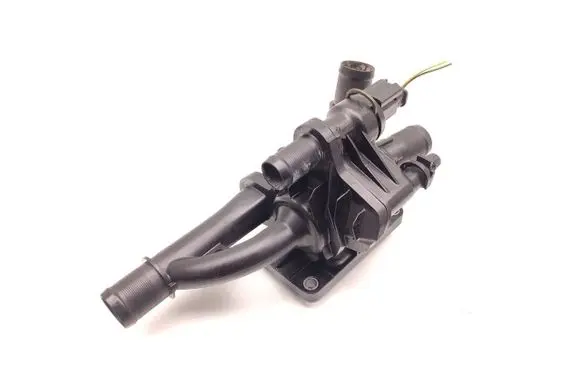 Thermostat/thermostat housing