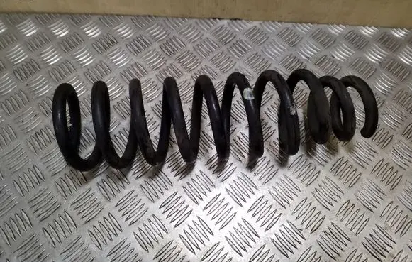 Front coil spring