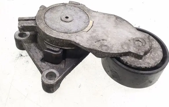 Volvo C30 Alternator belt tensioner TF114A 825809