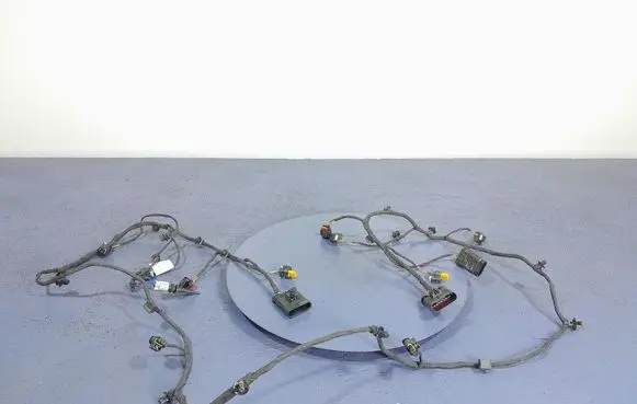BMW X5 E53 Other wiring loom 5A75A07