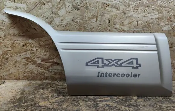 Nissan Terrano Rear door trim (molding) 828701F100
