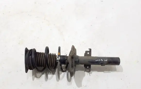 Renault Megane IV Front shock absorber/damper 543025368R