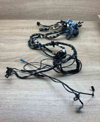 BMW X3 F25 Front door wiring loom 9252376 9147281 WithKeyless