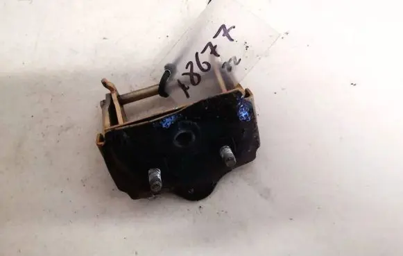 Rear door lower hinge