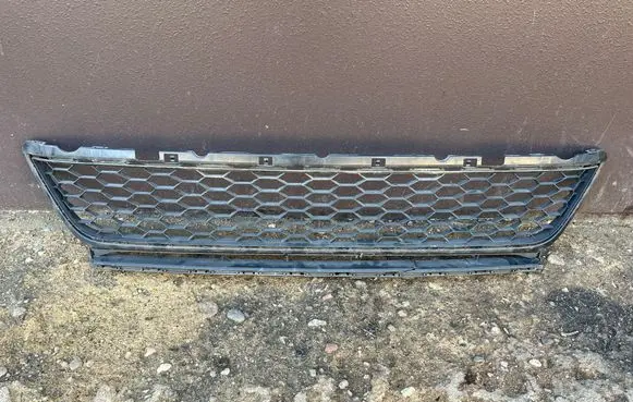 Front bumper lower grill
