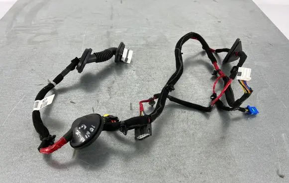 Hyundai Ioniq Rear door wiring loom 91650G2271