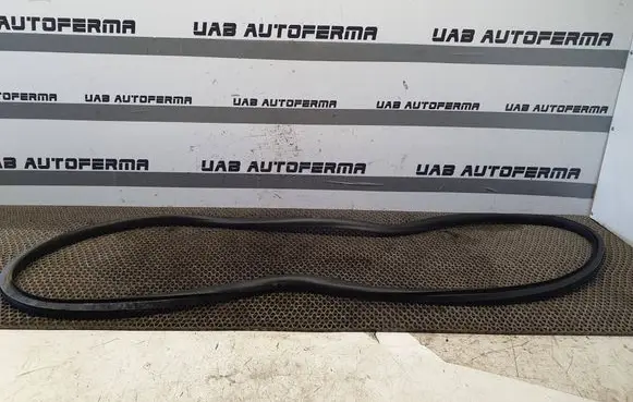 Citroen C4 II Picasso Rear door rubber seal (on body) 