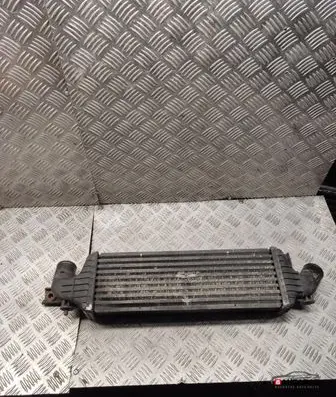 Intercooler radiator