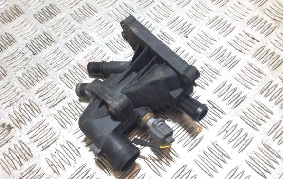 Thermostat/thermostat housing