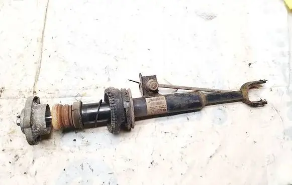 BMW 5 GT F07 Front shock absorber/damper 31316767765 814904006449