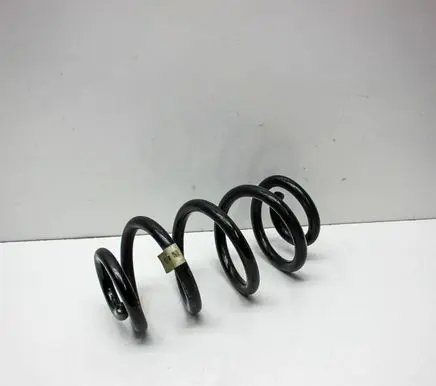 Rear coil spring