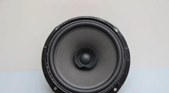 Skoda Fabia Mk4 (6VA) Rear door speaker 5JA035411C