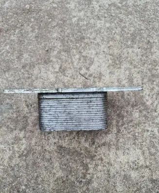 BMW X1 F48 F49 Engine oil radiator 11428585235 8585235