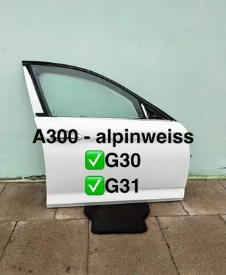 BMW 5 G30 G31 G38 Front door 